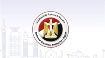 الهيئة الوطنية للانتخابات تتيح الاستعلام بالرقم القومي لمعرفة مقعد التصويت بدقة